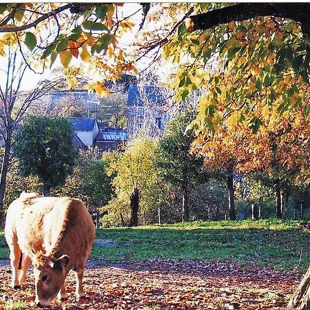 Le CayrolLe Martinou住宿加早餐旅馆 外观 照片