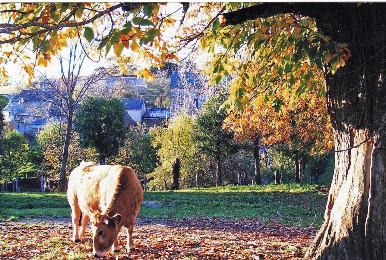 Le CayrolLe Martinou住宿加早餐旅馆 外观 照片